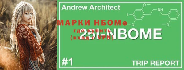 молекула духа Надым