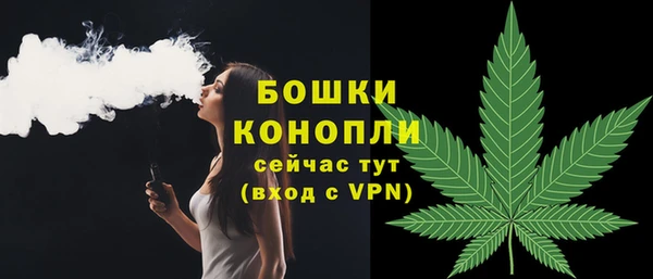 гидра Горняк