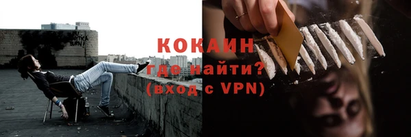 сатива Строитель