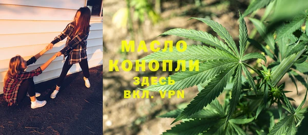 молекула духа Надым