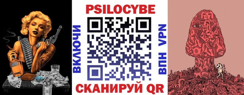 Псилоцибиновые грибы Psilocybe  Салехард 